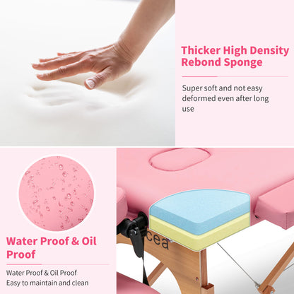 Portable Massage Table Bed With Carrying Case