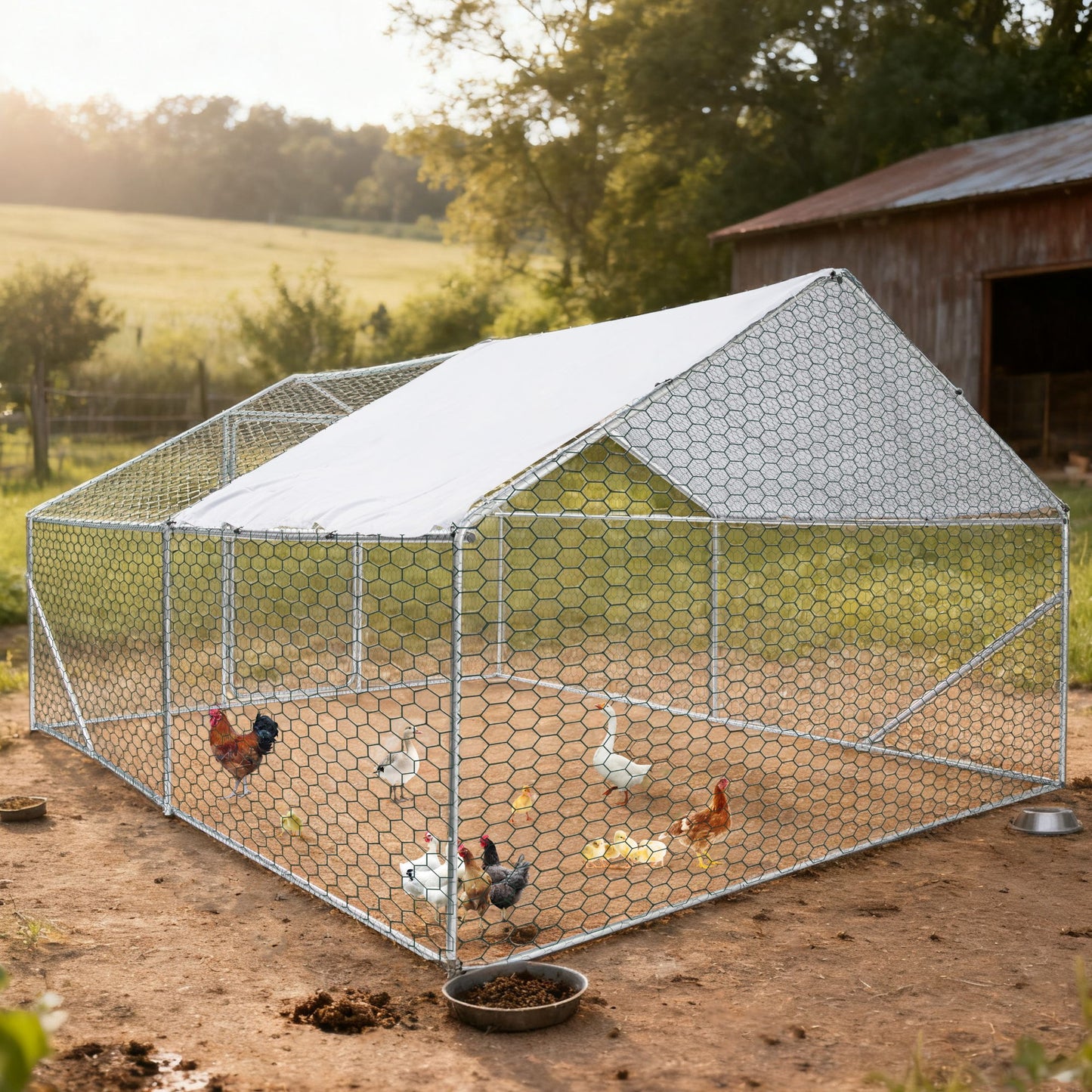 Outdoor Chicken Coop Metal Big Space
